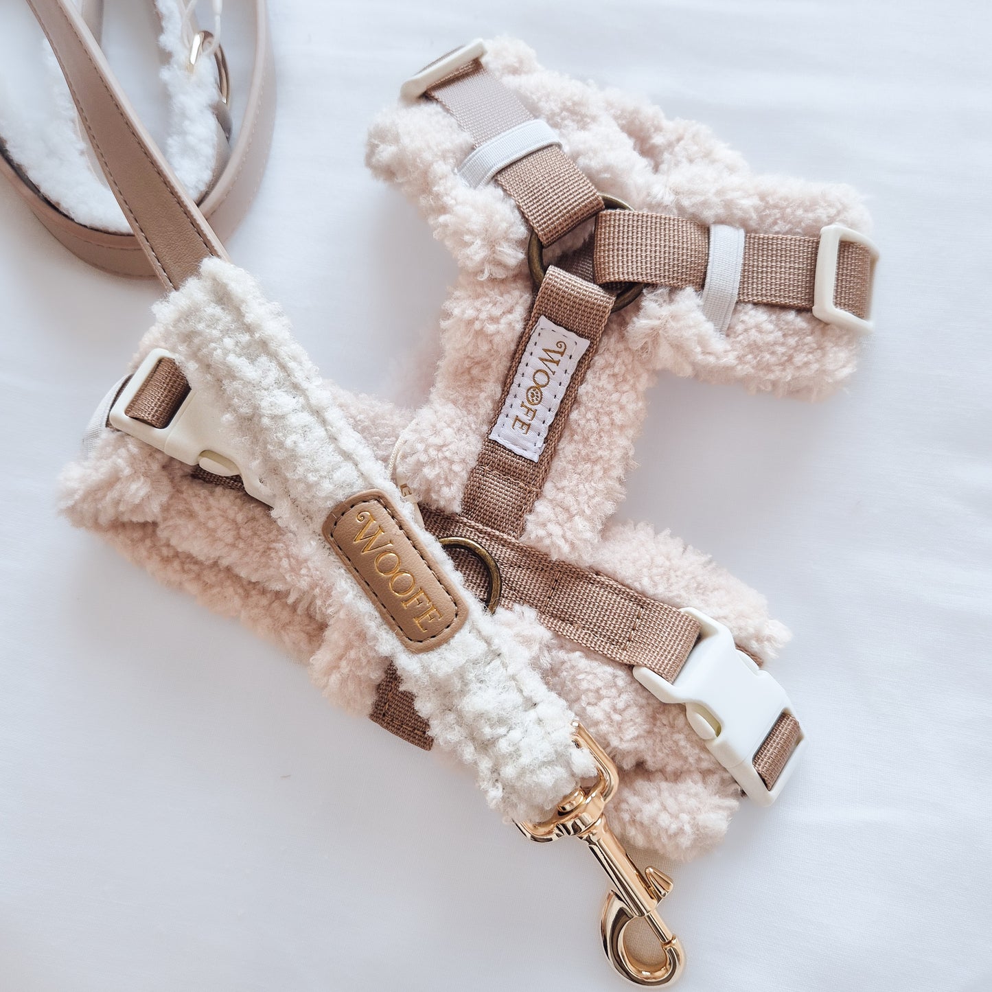 Douillet harness in a Y-shape
