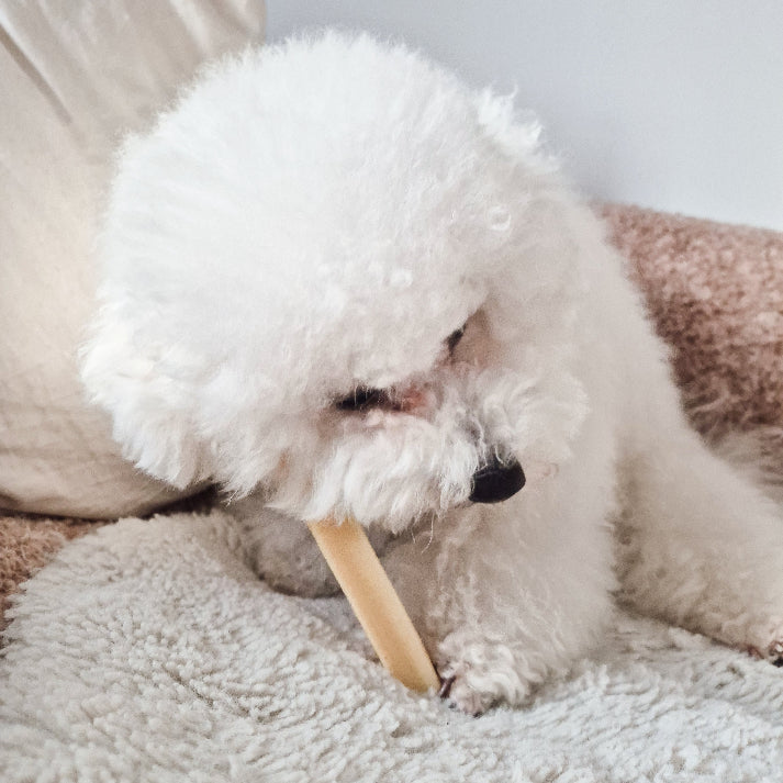 FILOU cheese stick