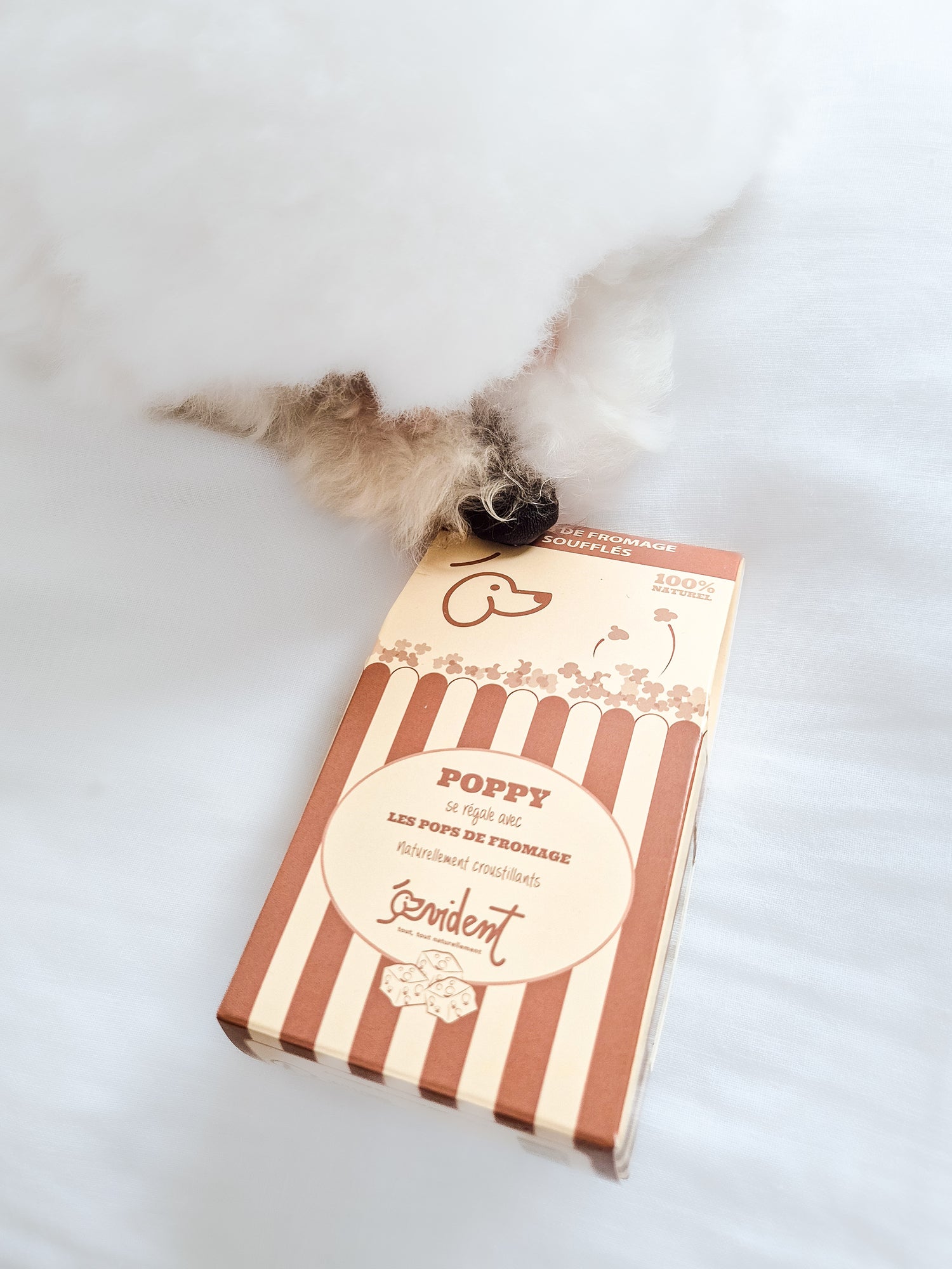 Friandises et compléments alimentaires pour chien