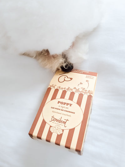 Friandises et compléments alimentaires pour chien