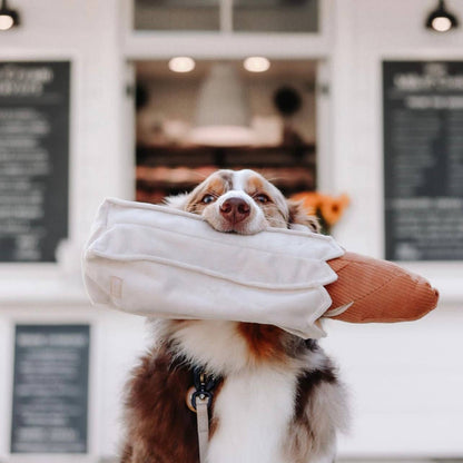 The Baguette