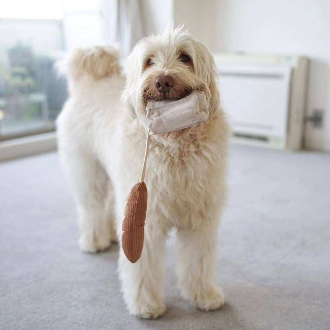 The Mini Baguette