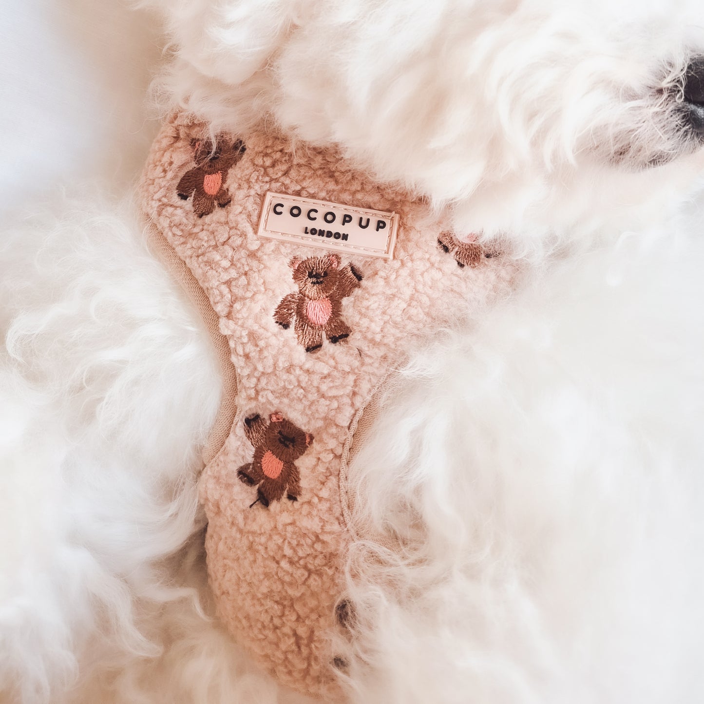 Harnais Theo brodé Teddy