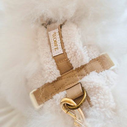 Douillet harness in a Y-shape