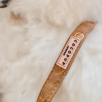 Pawtisserie leash 