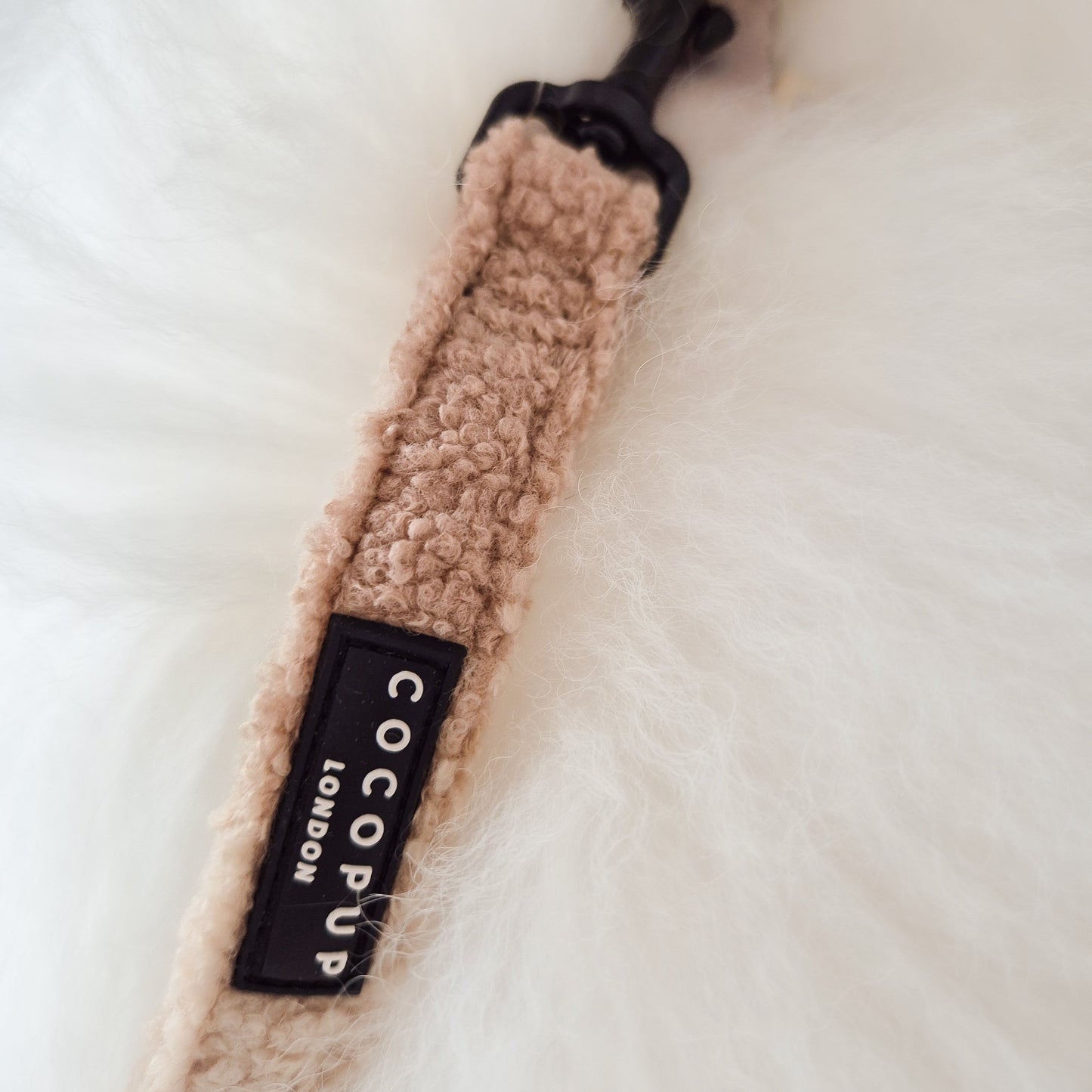 Teddy Rupert leash