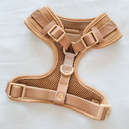 Pawtisserie harness