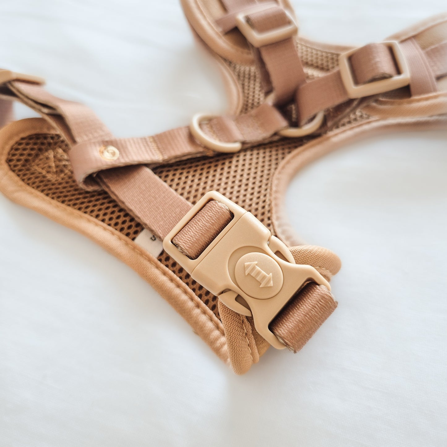 Pawtisserie harness