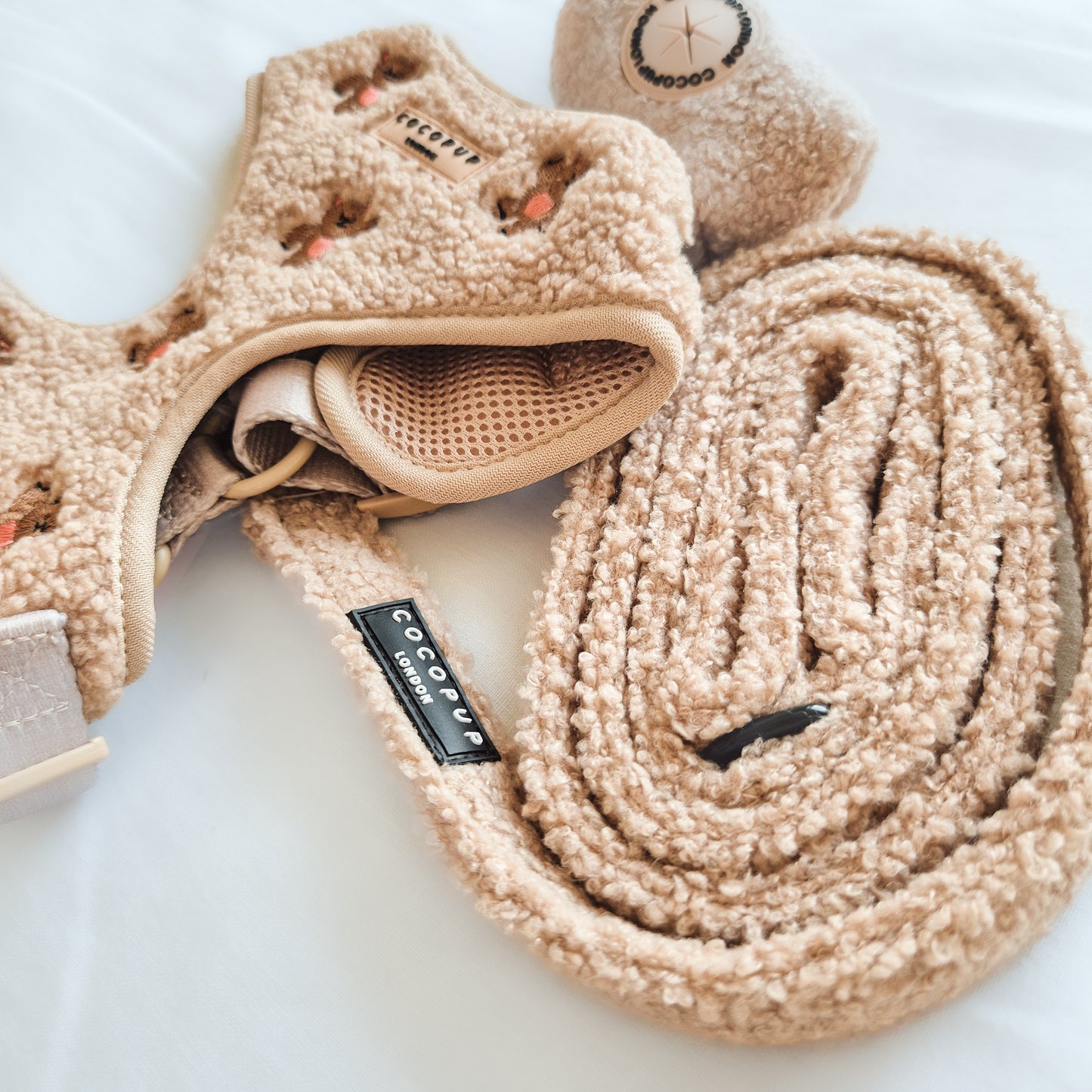 Teddy Rupert leash