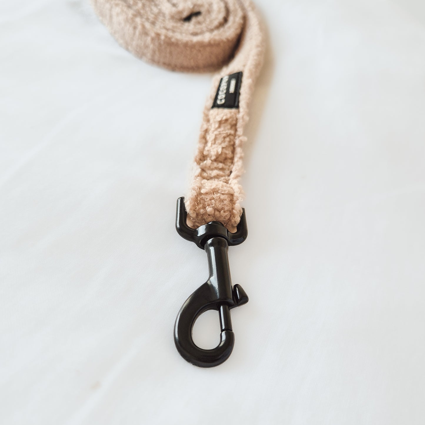 Teddy Rupert leash