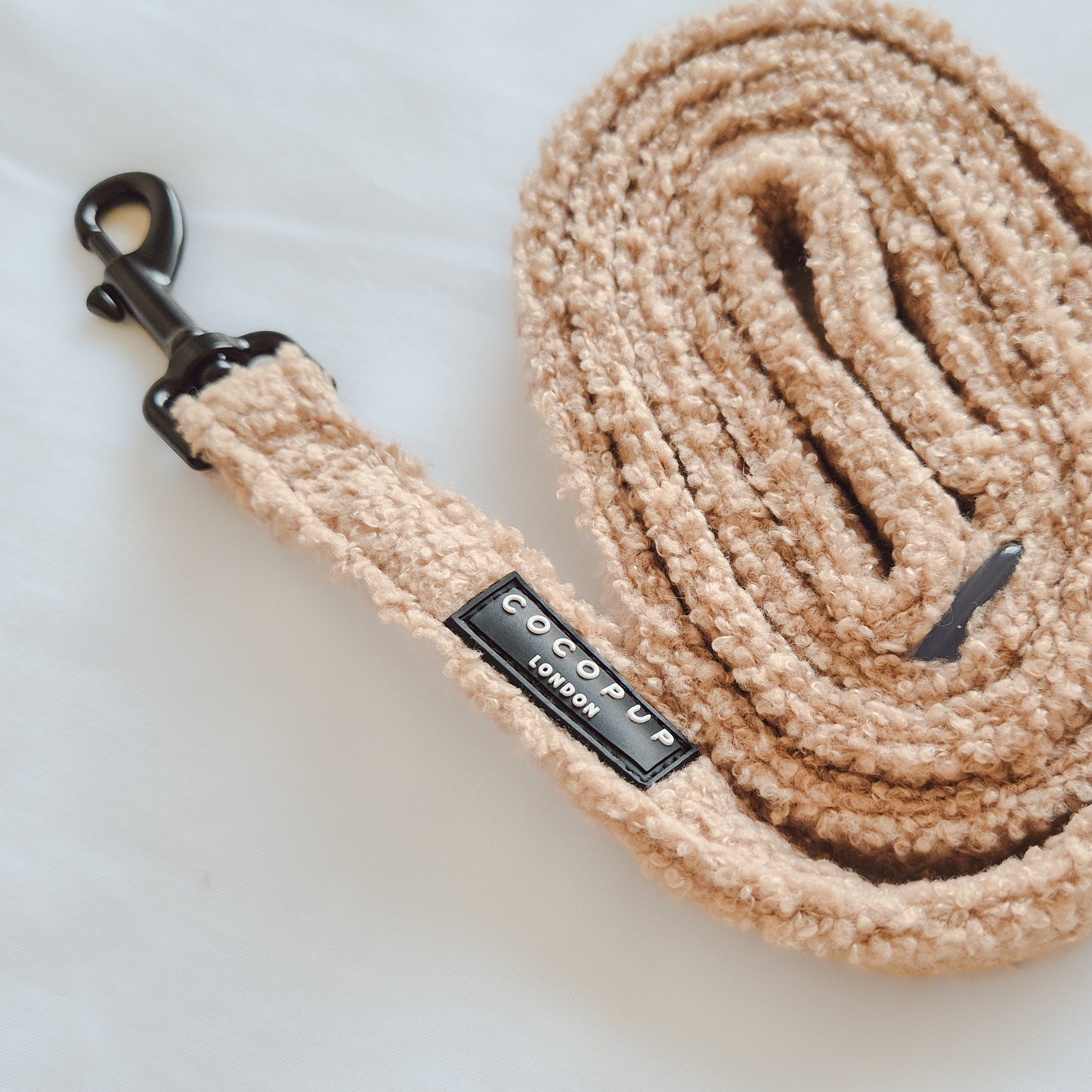 Teddy Rupert leash