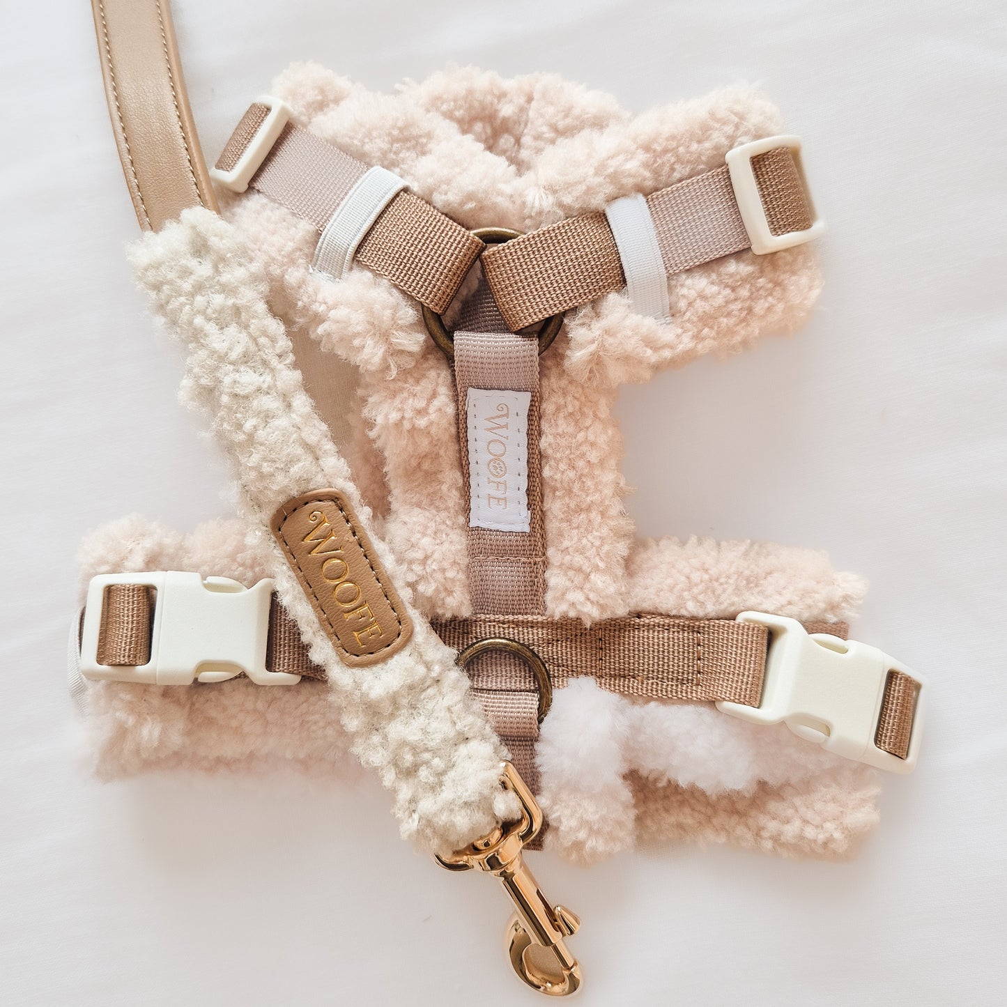 Douillet harness in a Y-shape