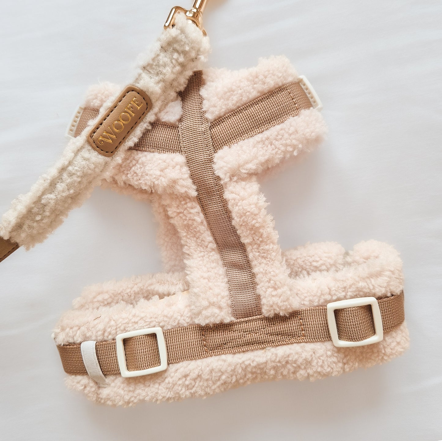 Douillet harness in a Y-shape