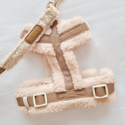 Douillet harness in a Y-shape