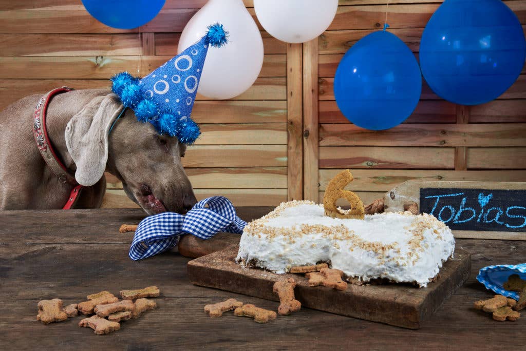 Gâteau en Boîte au Poulet DIY