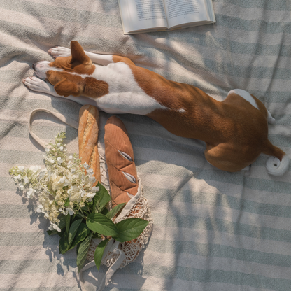 The Baguette