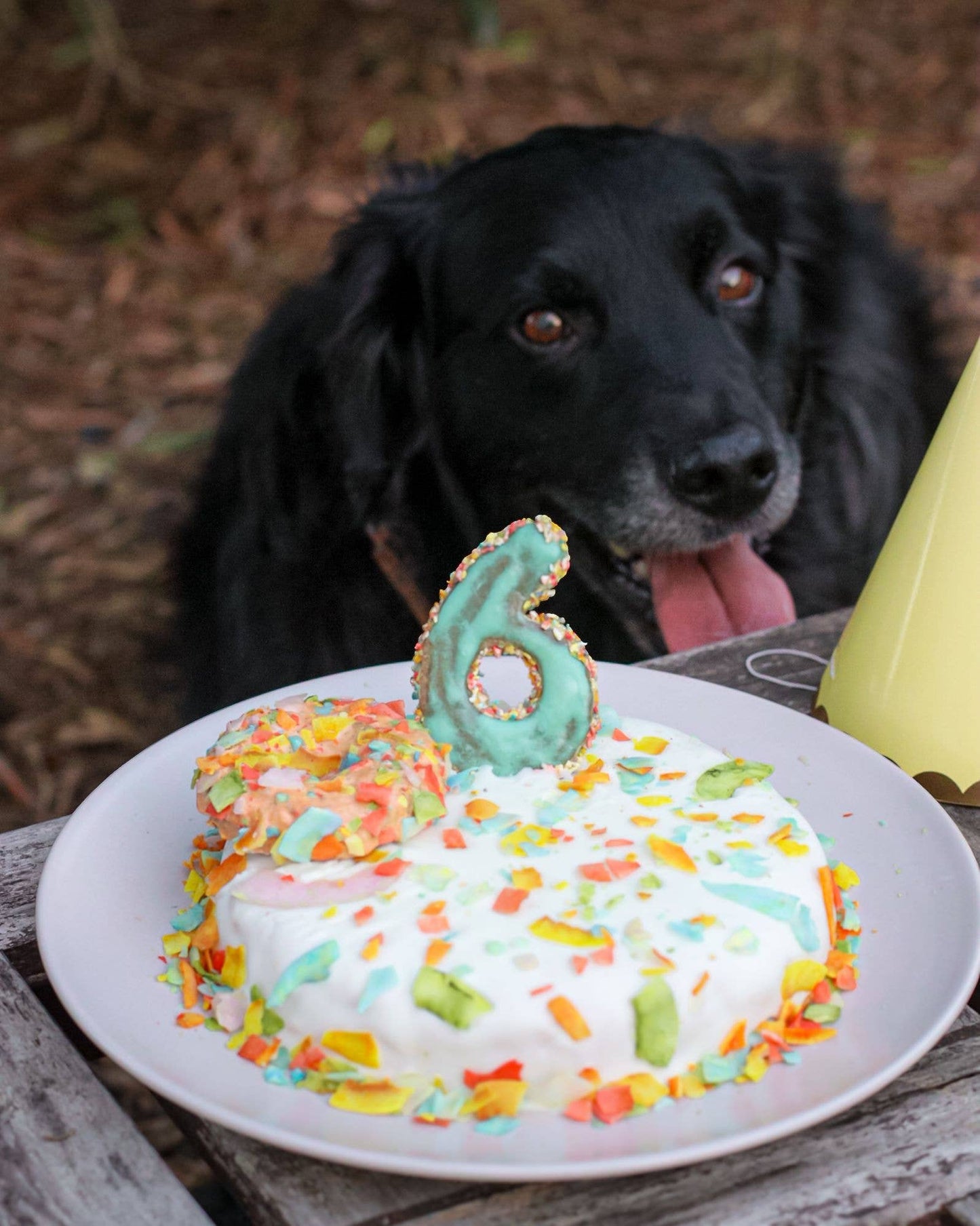 Gâteau en Boîte au Poulet DIY
