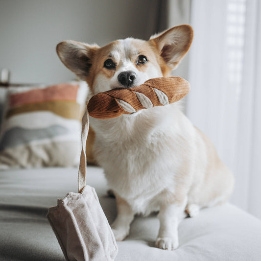 The Mini Baguette