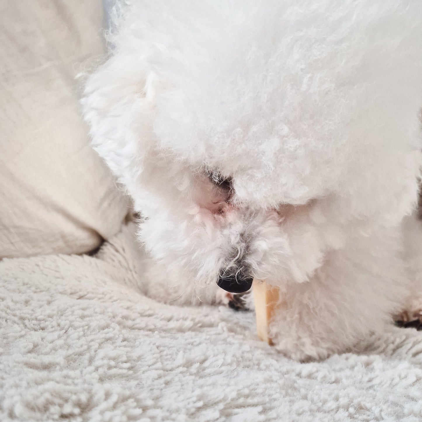 FILOU cheese stick