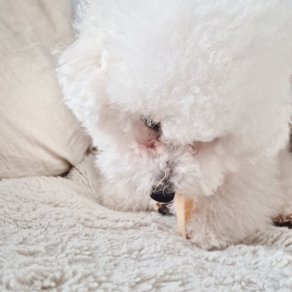 FILOU cheese stick