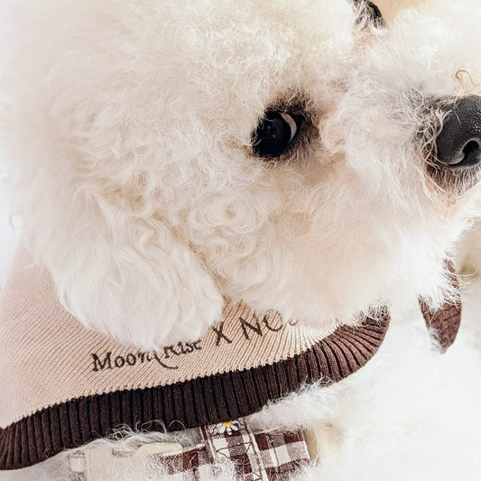 Bandana Praliné — Moonrise × Maison Noopy & Co