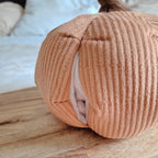The Cinderella Pumpkin