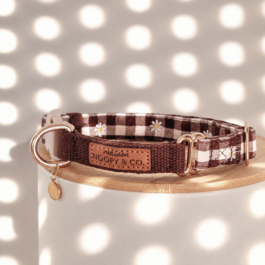 Souvenirs d'Été Collar