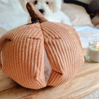 The Cinderella Pumpkin