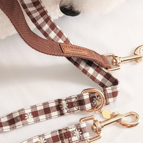 Souvenirs d'Été Multi-Position Leash