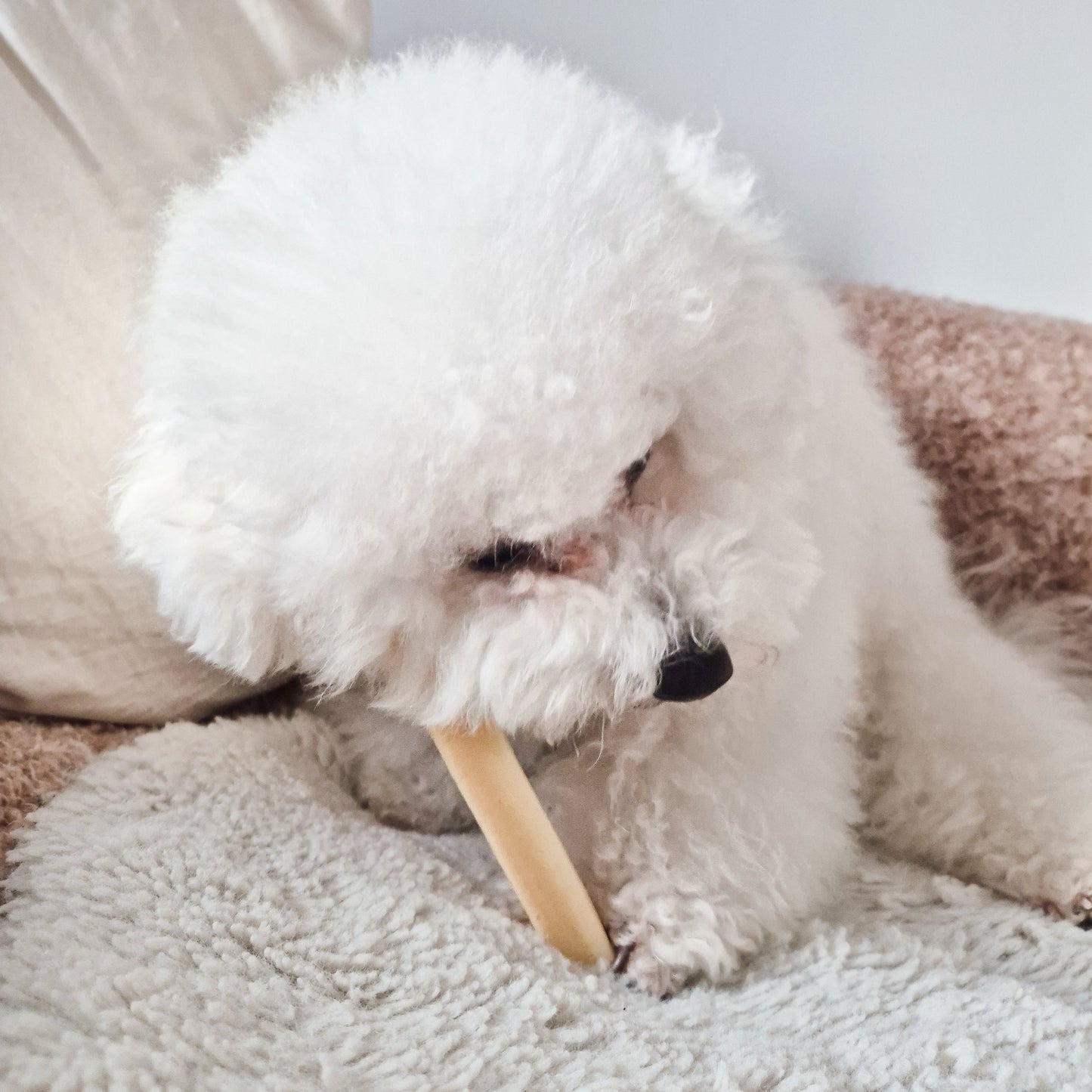 FILOU cheese stick