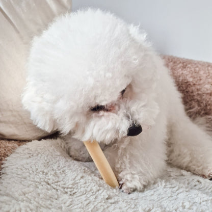 FILOU cheese stick