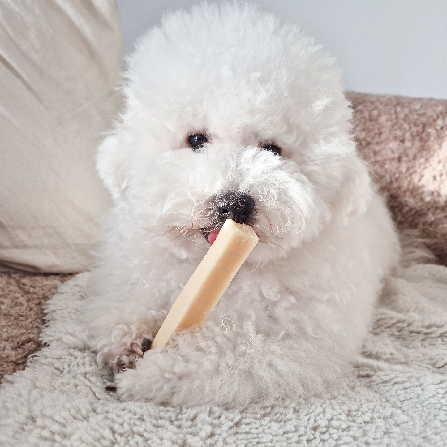FILOU cheese stick