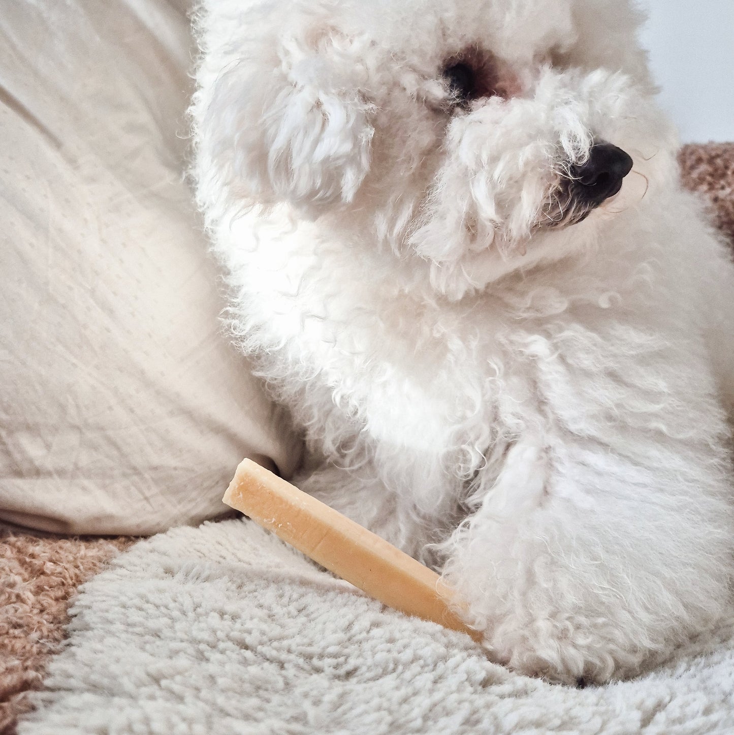 FILOU cheese stick
