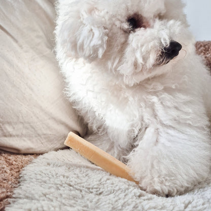 FILOU cheese stick