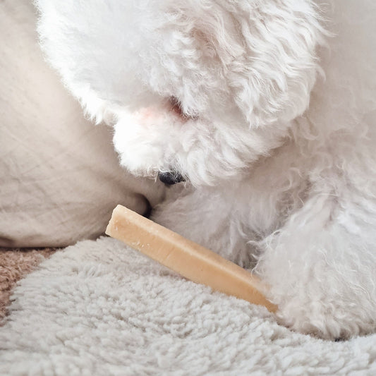 Bâtonnets de fromage FILOU