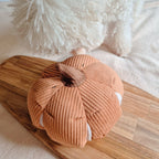 The Cinderella Pumpkin