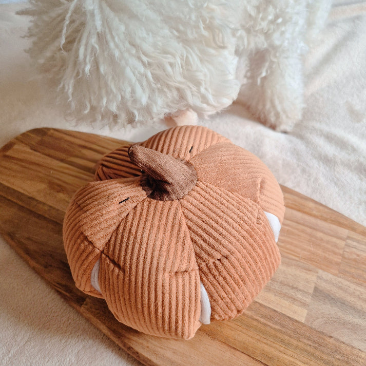 The Cinderella Pumpkin