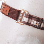 Souvenirs d'Été Collar