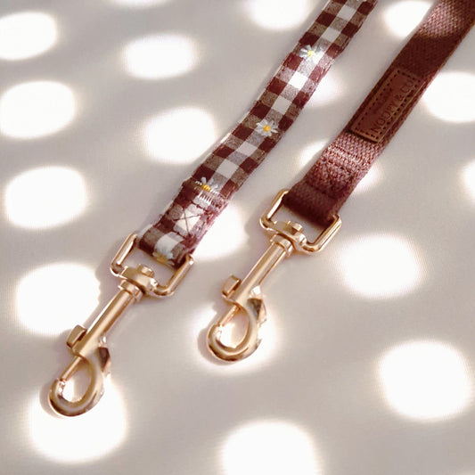 Souvenirs d'Été Multi-Position Leash